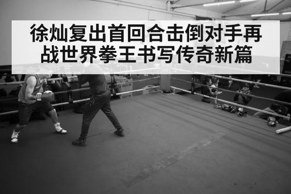 boxer training gym